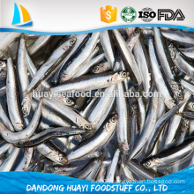 2016 new landing anchovy fish